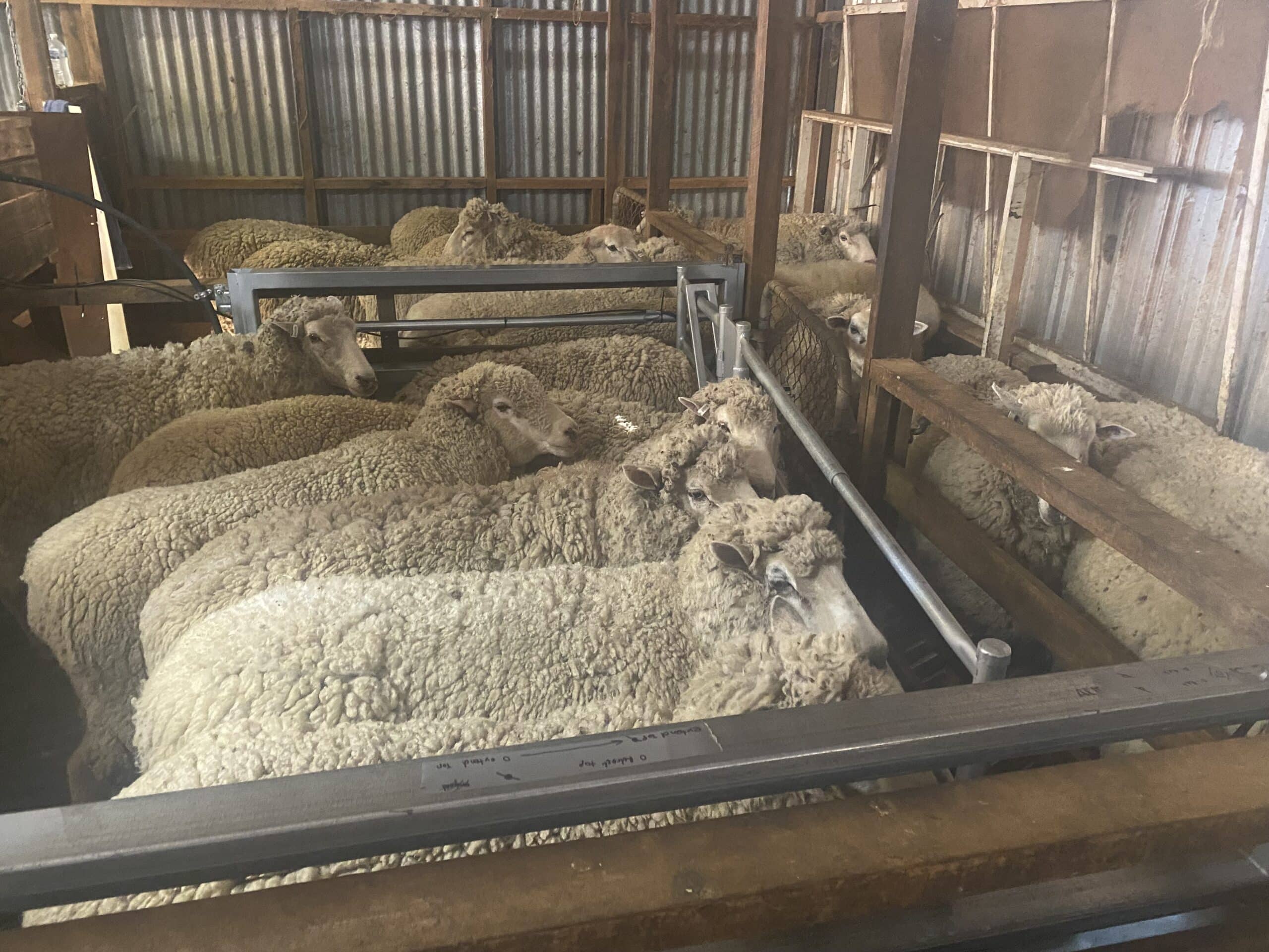Retro fit R2E with ewes